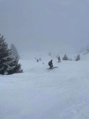 IMG-20250316-WA0003