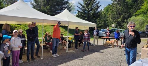 IMG-20250518-WA0043