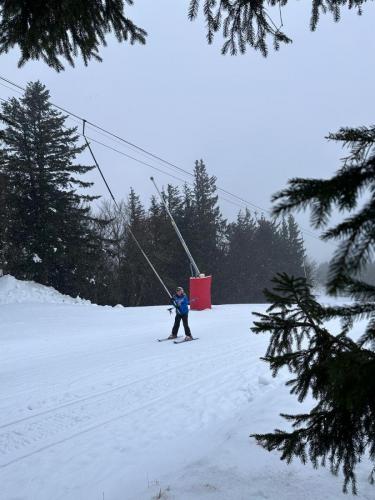 IMG-20250210-WA0007
