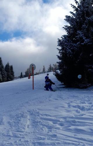 IMG-20250214-WA0017