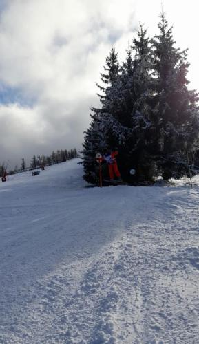 IMG-20250214-WA0039