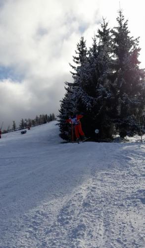 IMG-20250214-WA0040