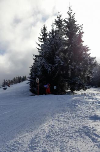 IMG-20250214-WA0041