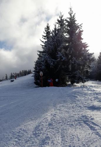 IMG-20250214-WA0042