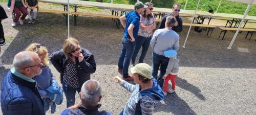 IMG-20250518-WA0034