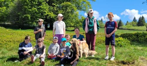 IMG-20250518-WA0096
