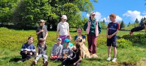IMG-20250518-WA0097